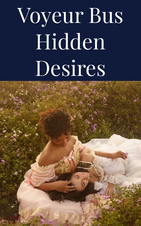 Voyeur Bus Hidden Desires