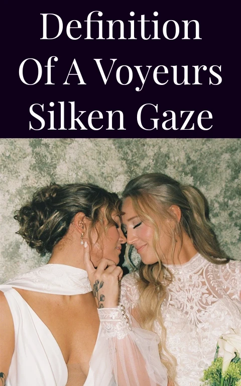Definition of a Voyeurs Silken Gaze