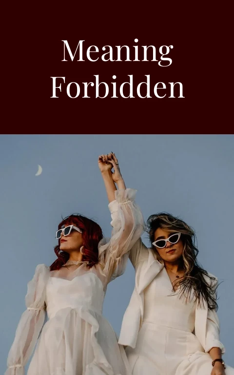 Voyeur Meaning Forbidden Glances