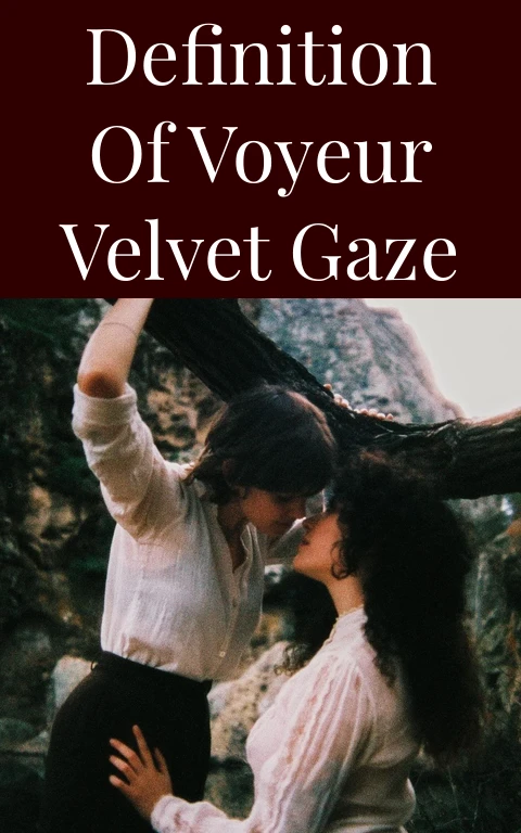 Definition of Voyeur Velvet Gaze