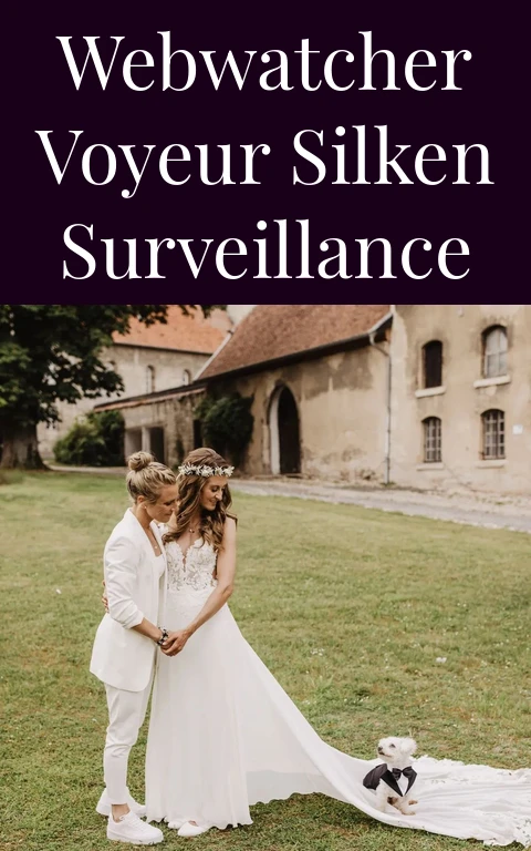 Webwatcher Voyeur Silken Surveillance
