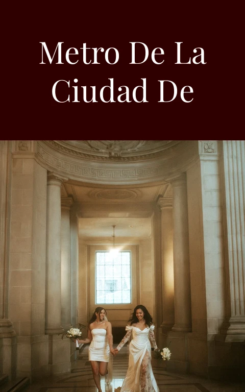 El vagón del metro de la ciudad de México